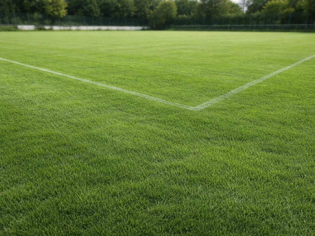 Aire de gazon sportif dense et verte, terrain de jeu prêt à l’emploi, légère mise en forme des marquages.